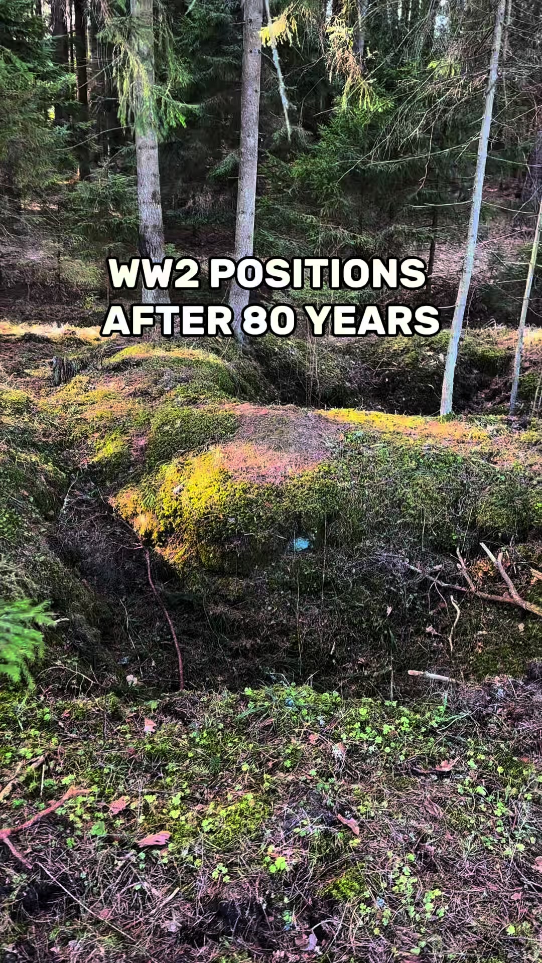 @WW2_ALHISTORYTEAM