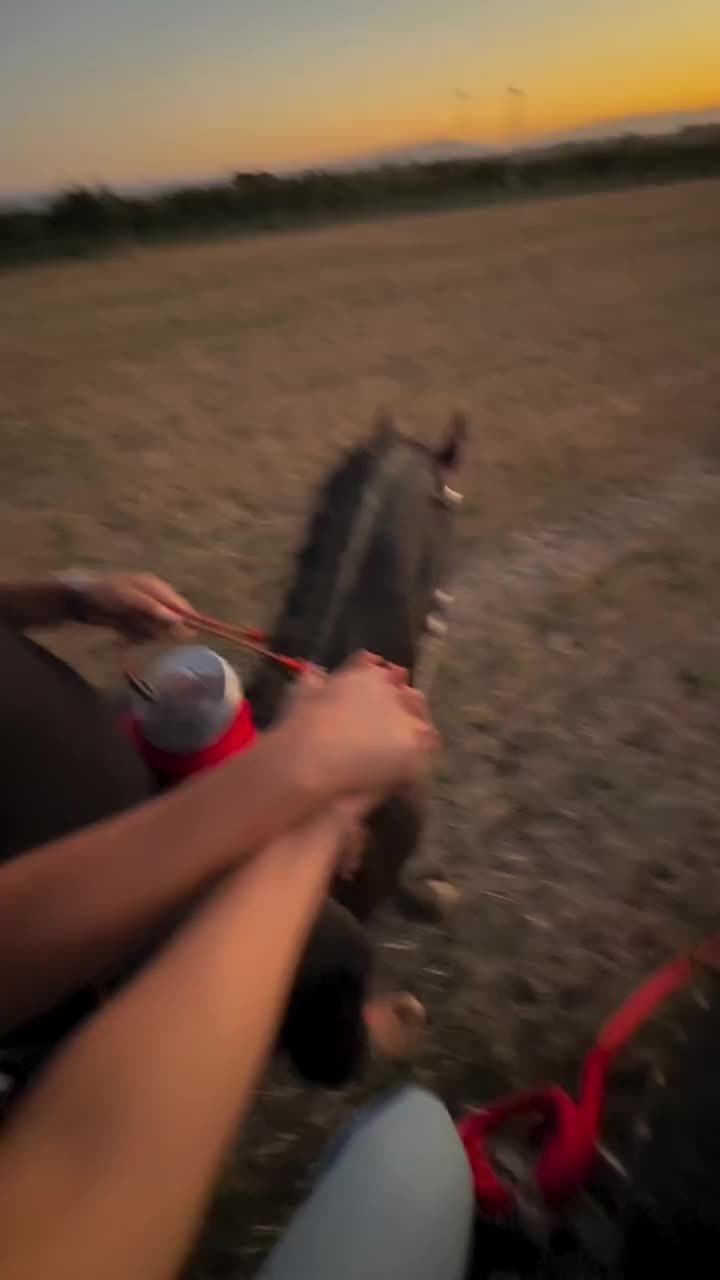 @ThunderGallops