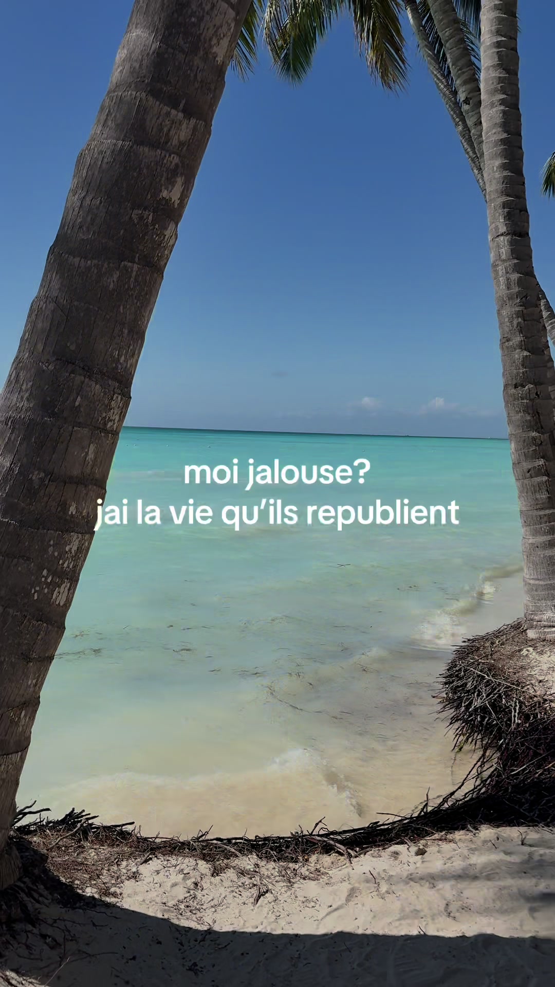 @alizee
