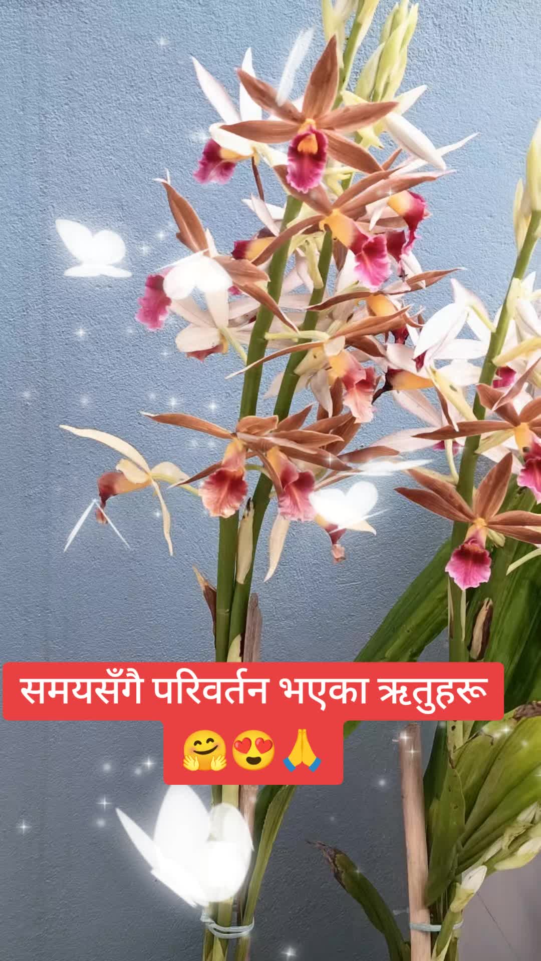 @Anamika Rai