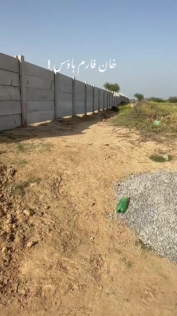 @hafeezm17