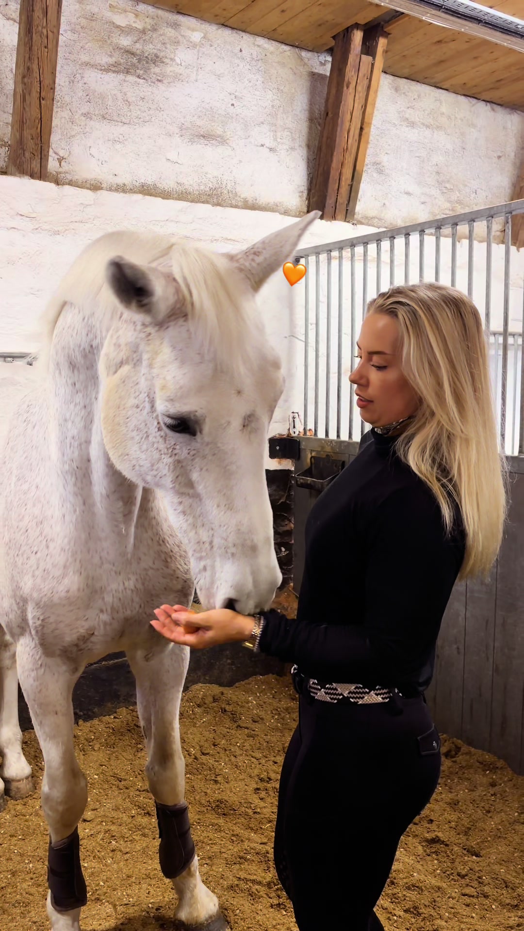@Amanda Karlsson