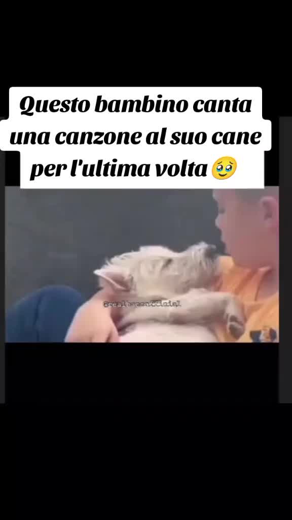 @fabio76