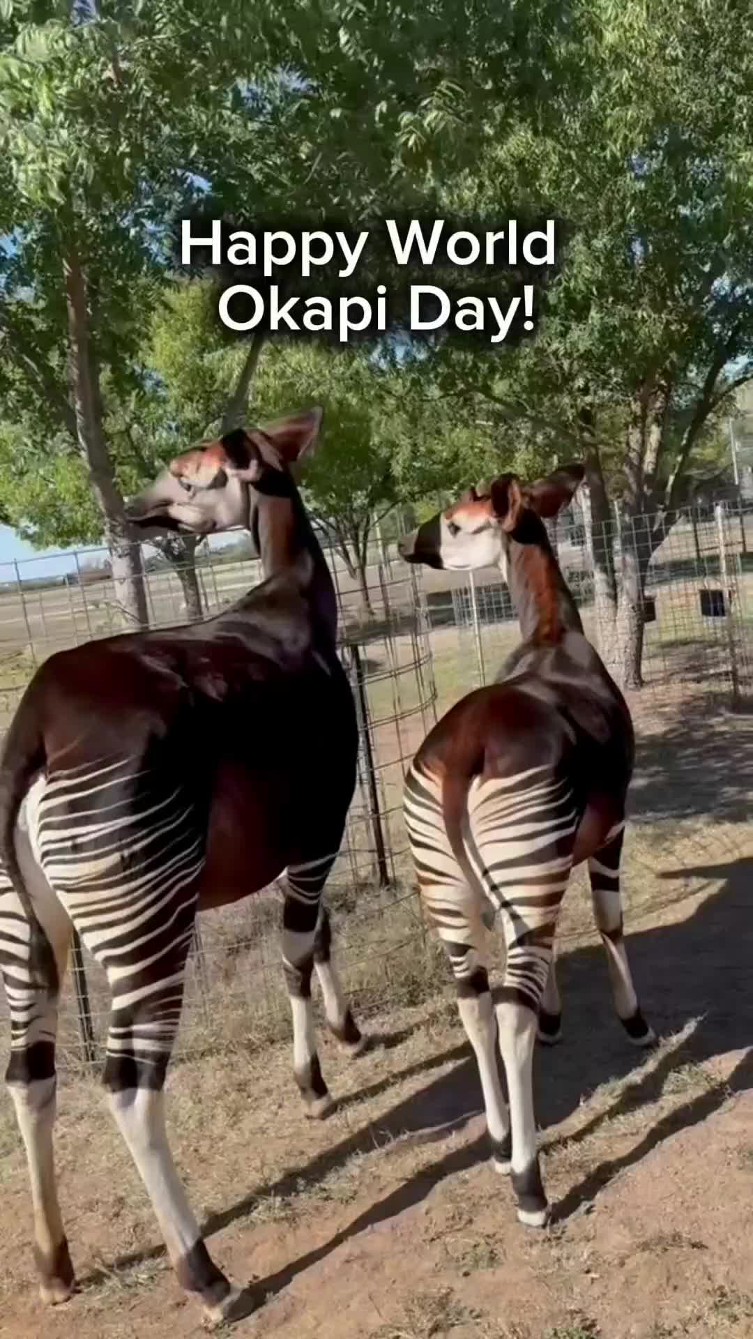 @TanganyikaWildlifePark