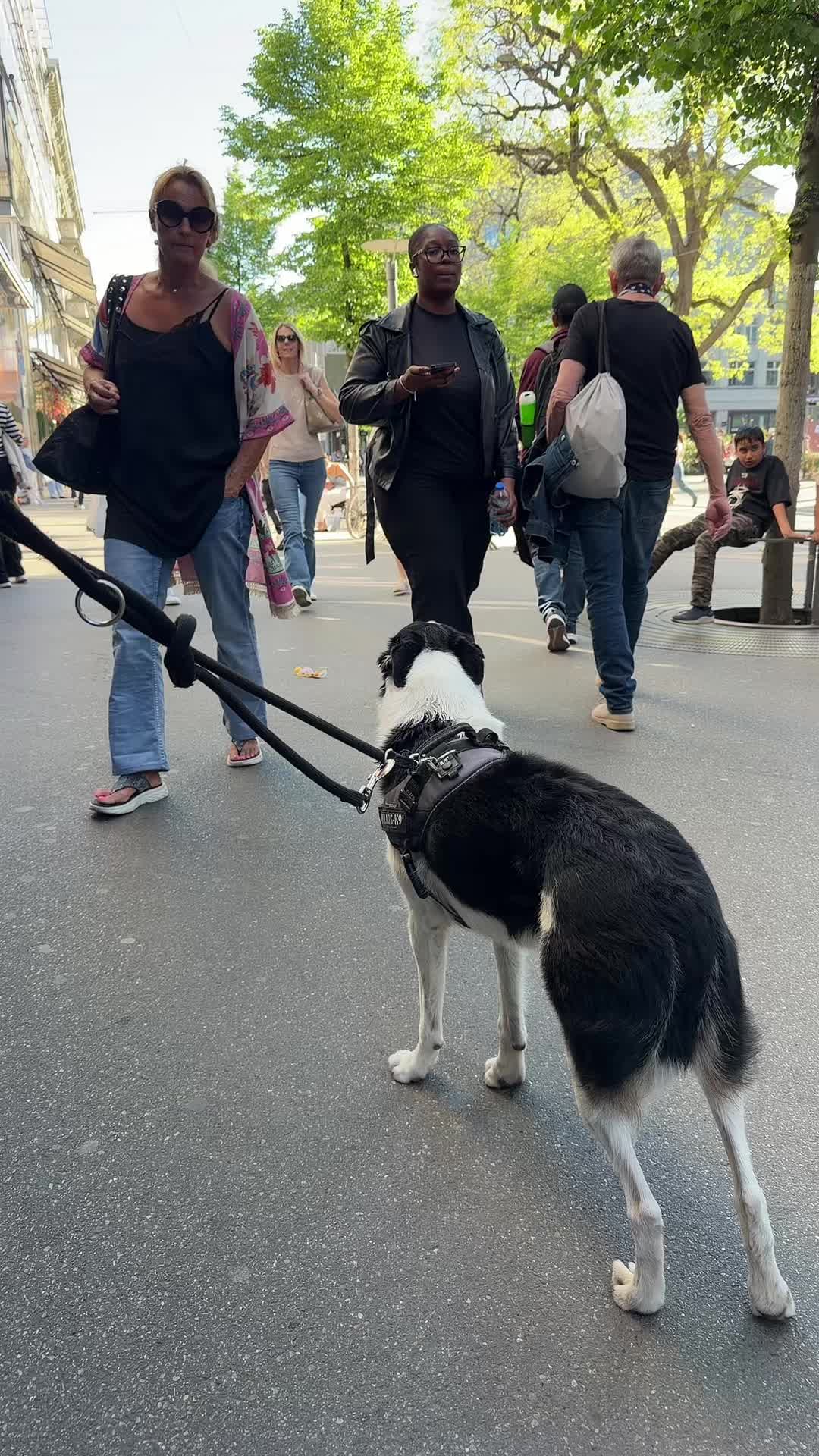 @𝗥𝗔𝗠𝗬𝟱𝟵𝟵