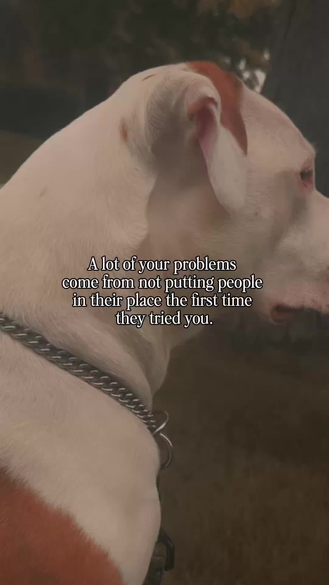 @Cholejd17