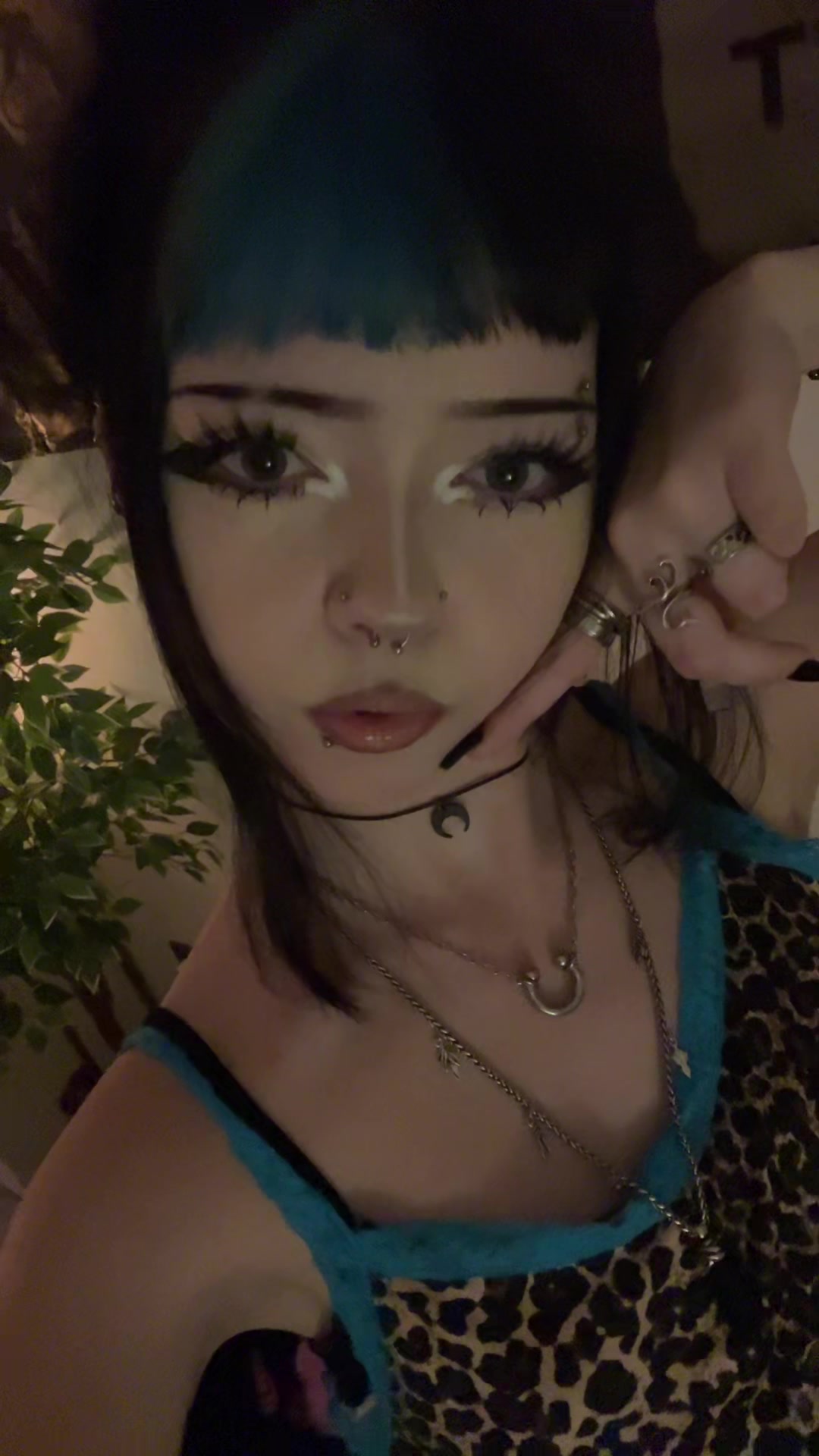 @gemmaniche