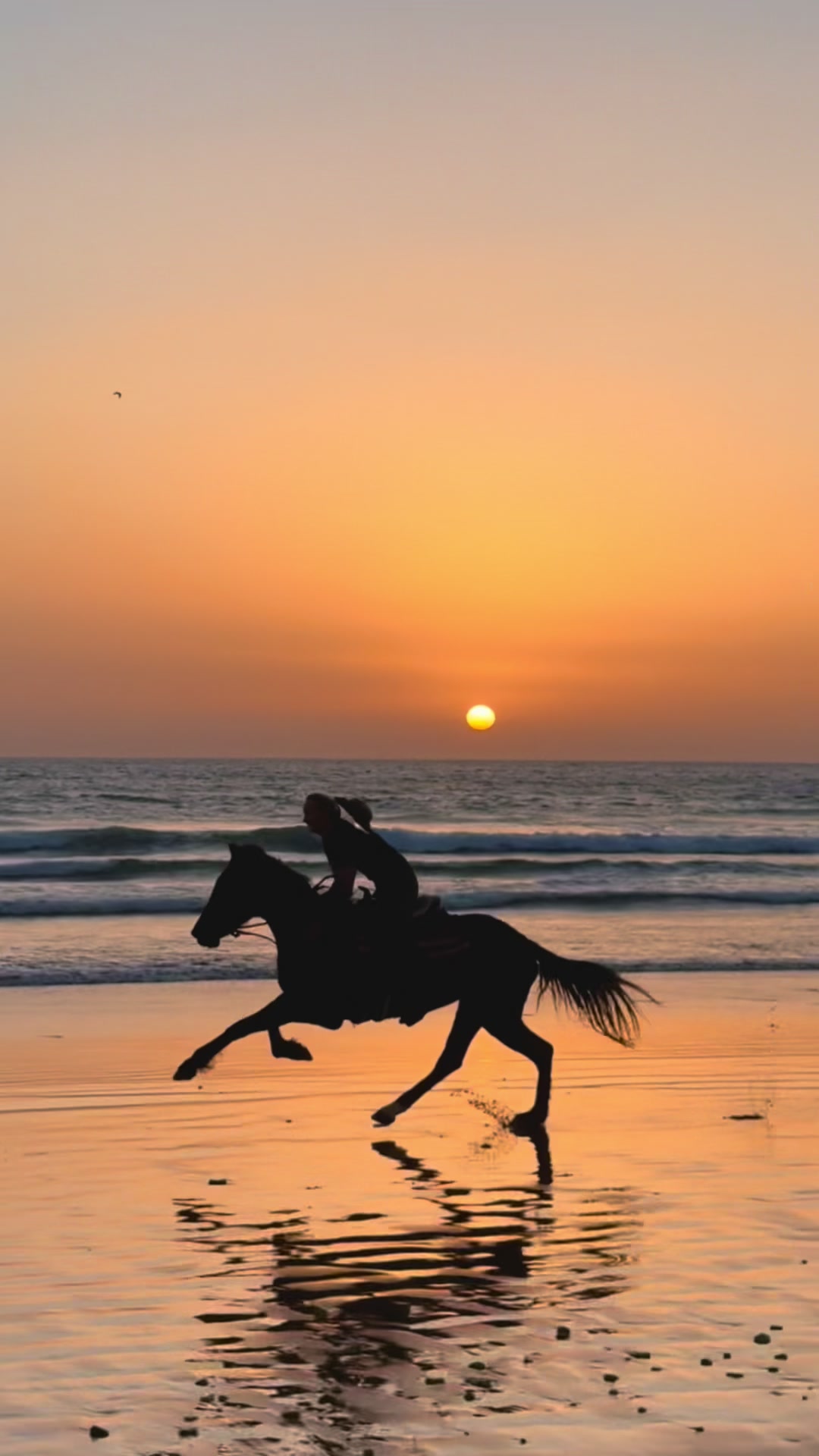 @Soulridesmorocco