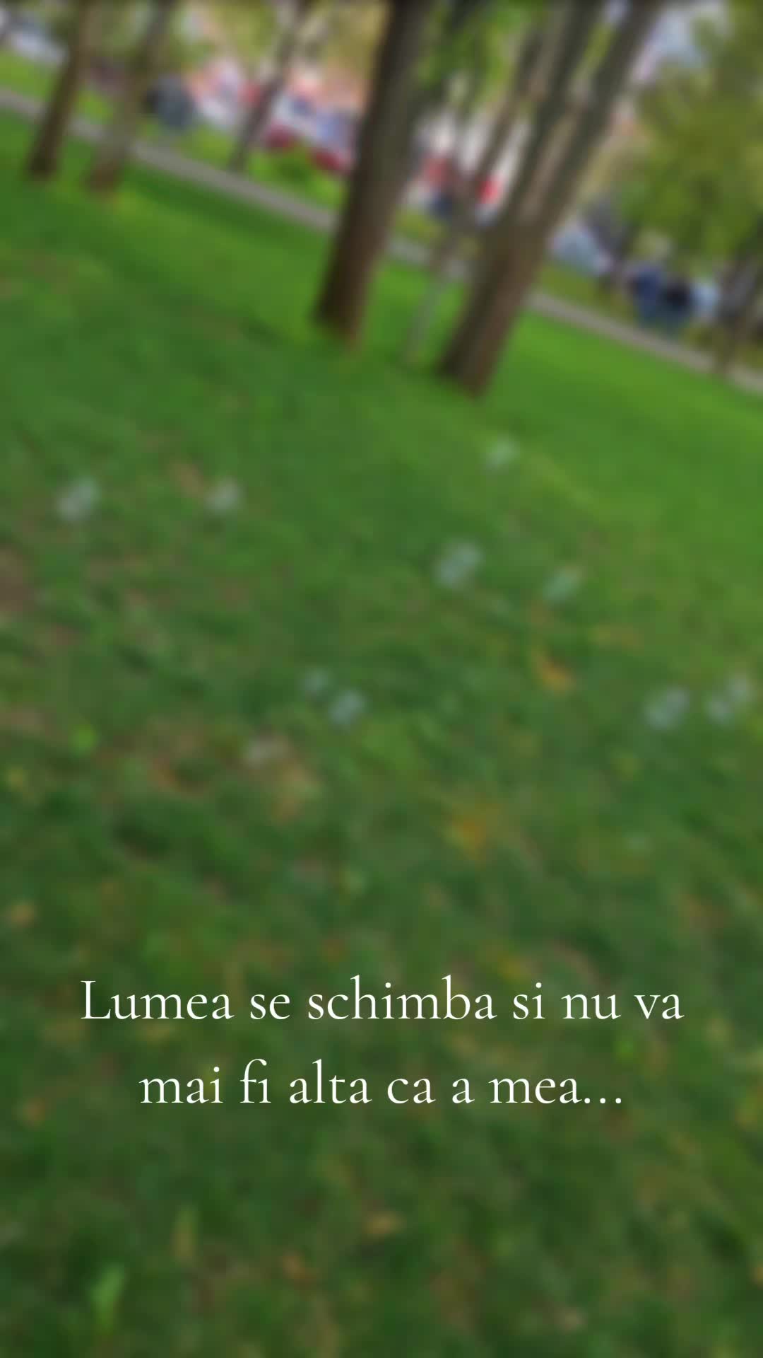 @Ruxandra Dutu