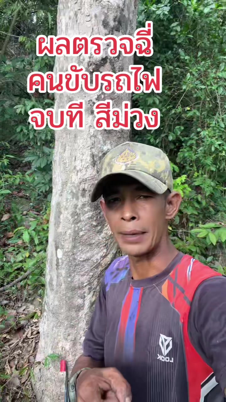 @บังโย 8811
