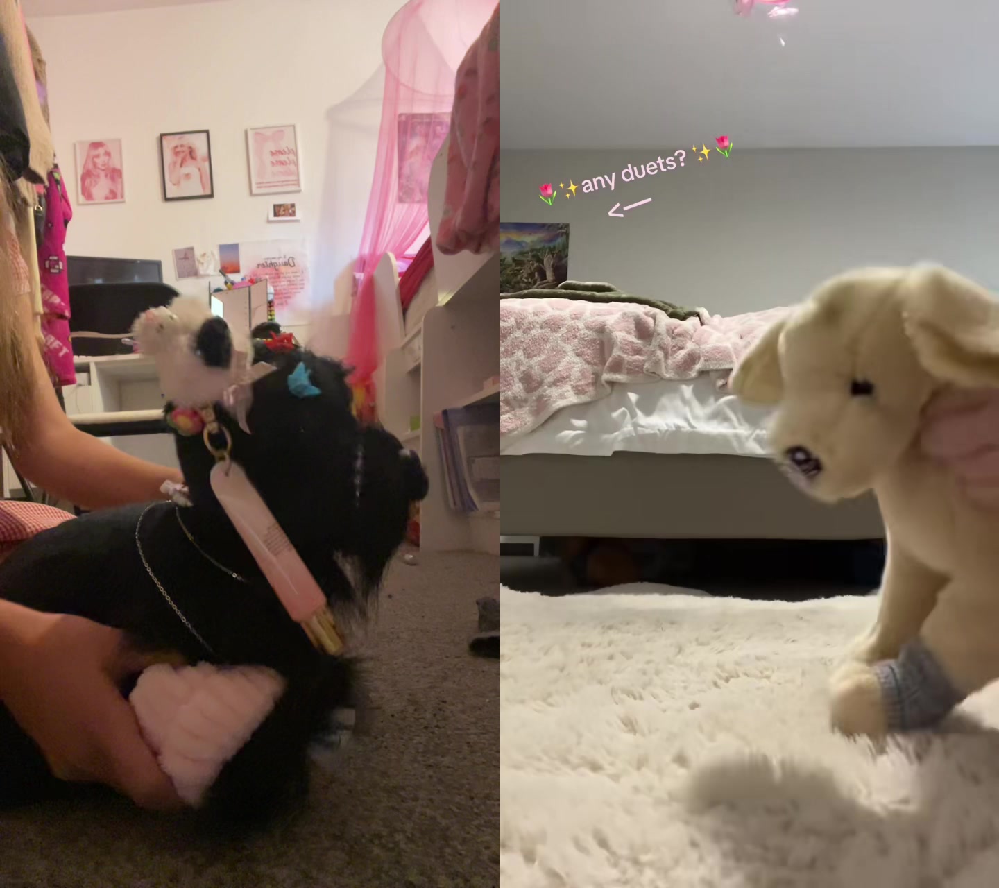 @Luna.Faith