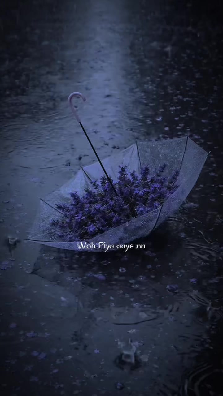 @๐๐๐ซ๐ค๐ง๐๐ฌ๐ฌ ๐๐๐ข๐ญ๐ฌ โ ๏ธ