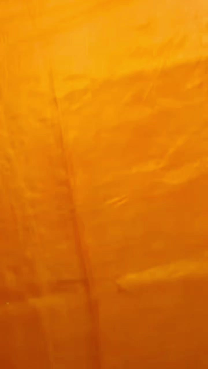 @Tushikha Goswami