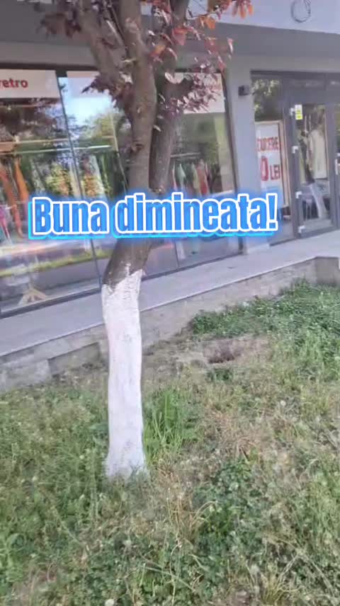 @ELL TEX Second Hand Hunedoara