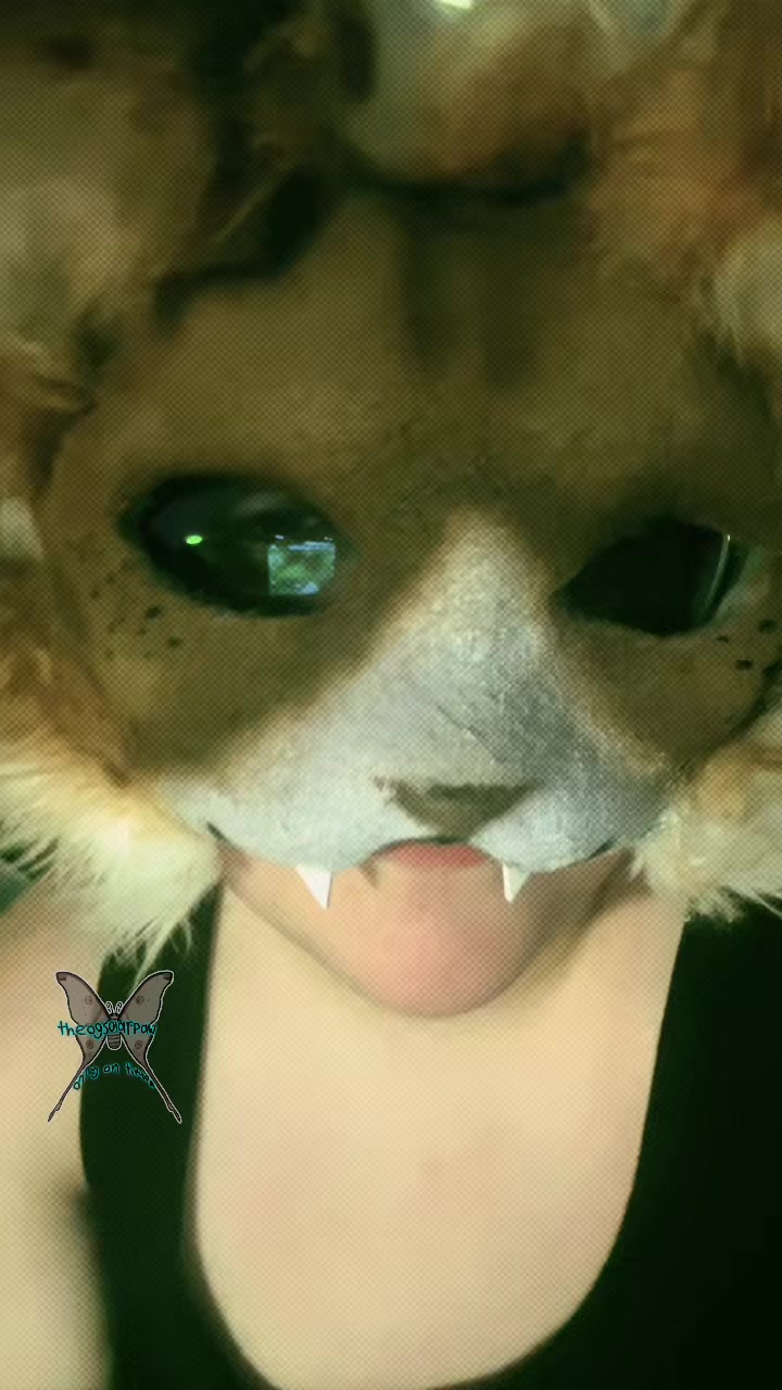 @Solar’paw