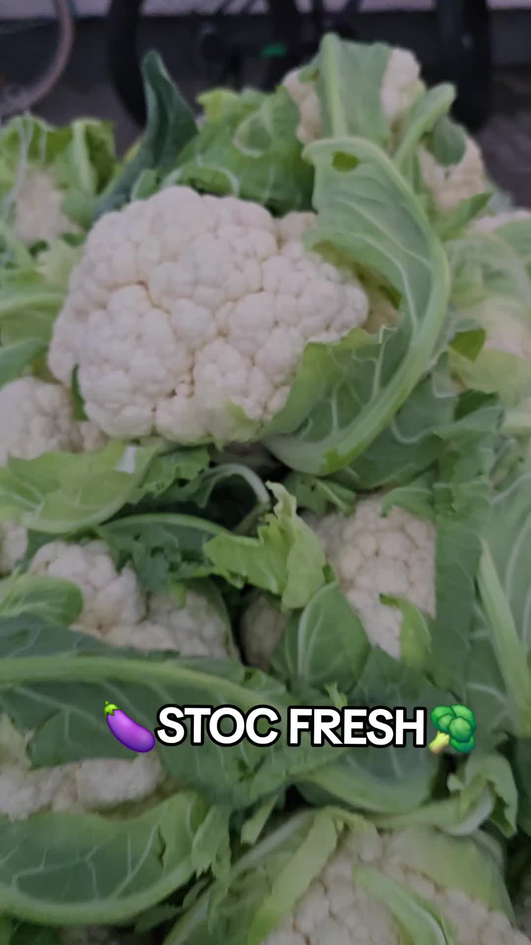 @Faze Farm