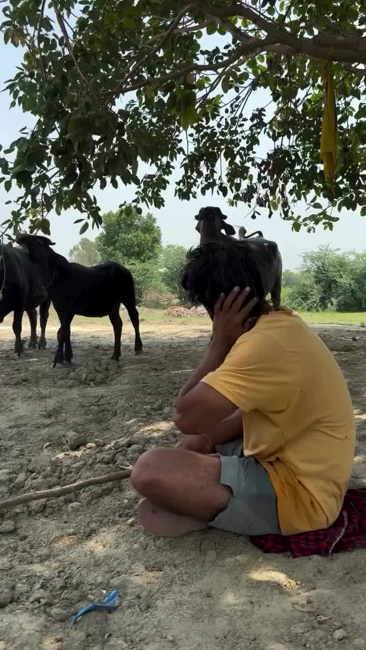 @rahuldhandlaniyaoffcial