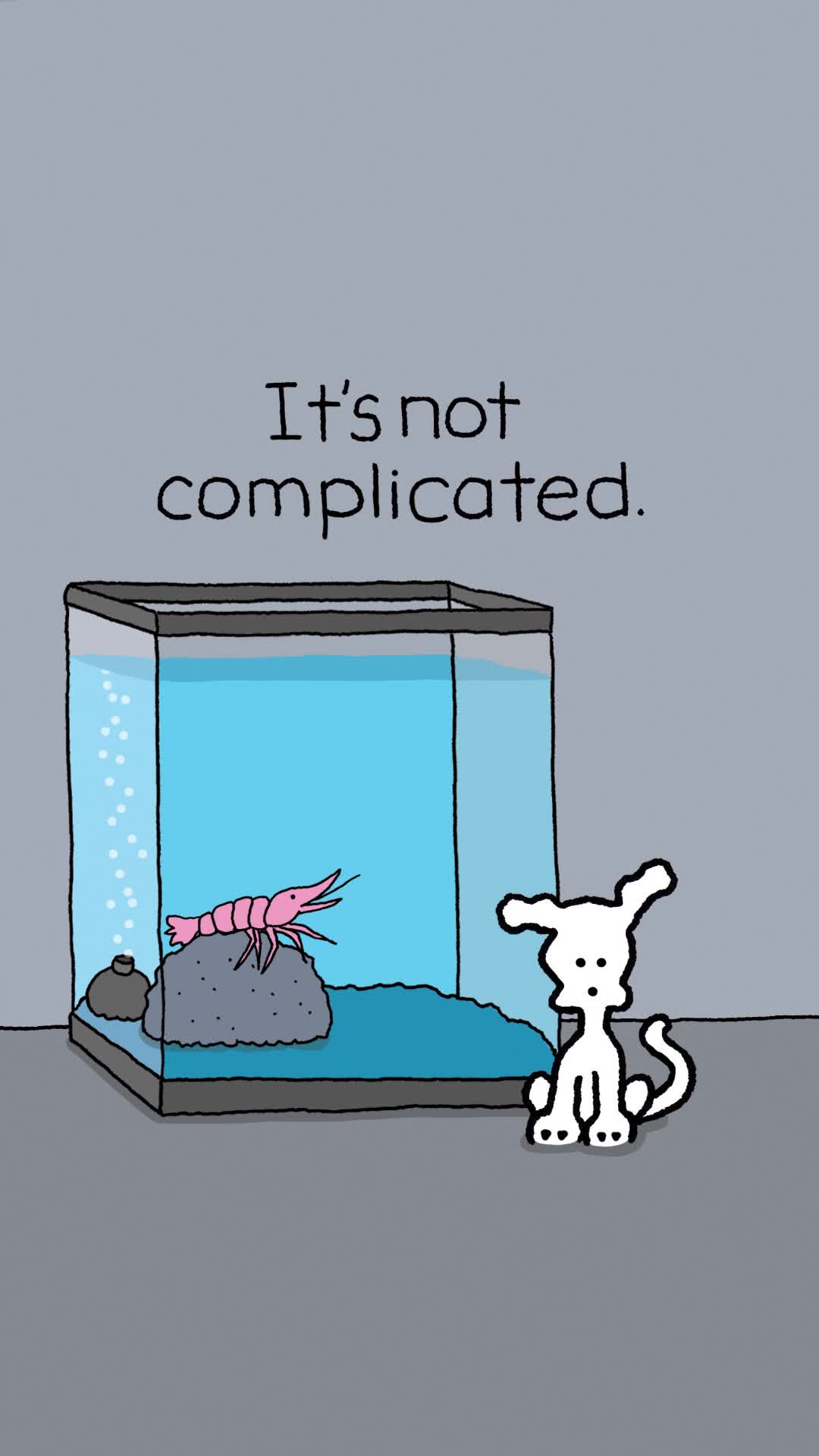 @Chippy the Dog