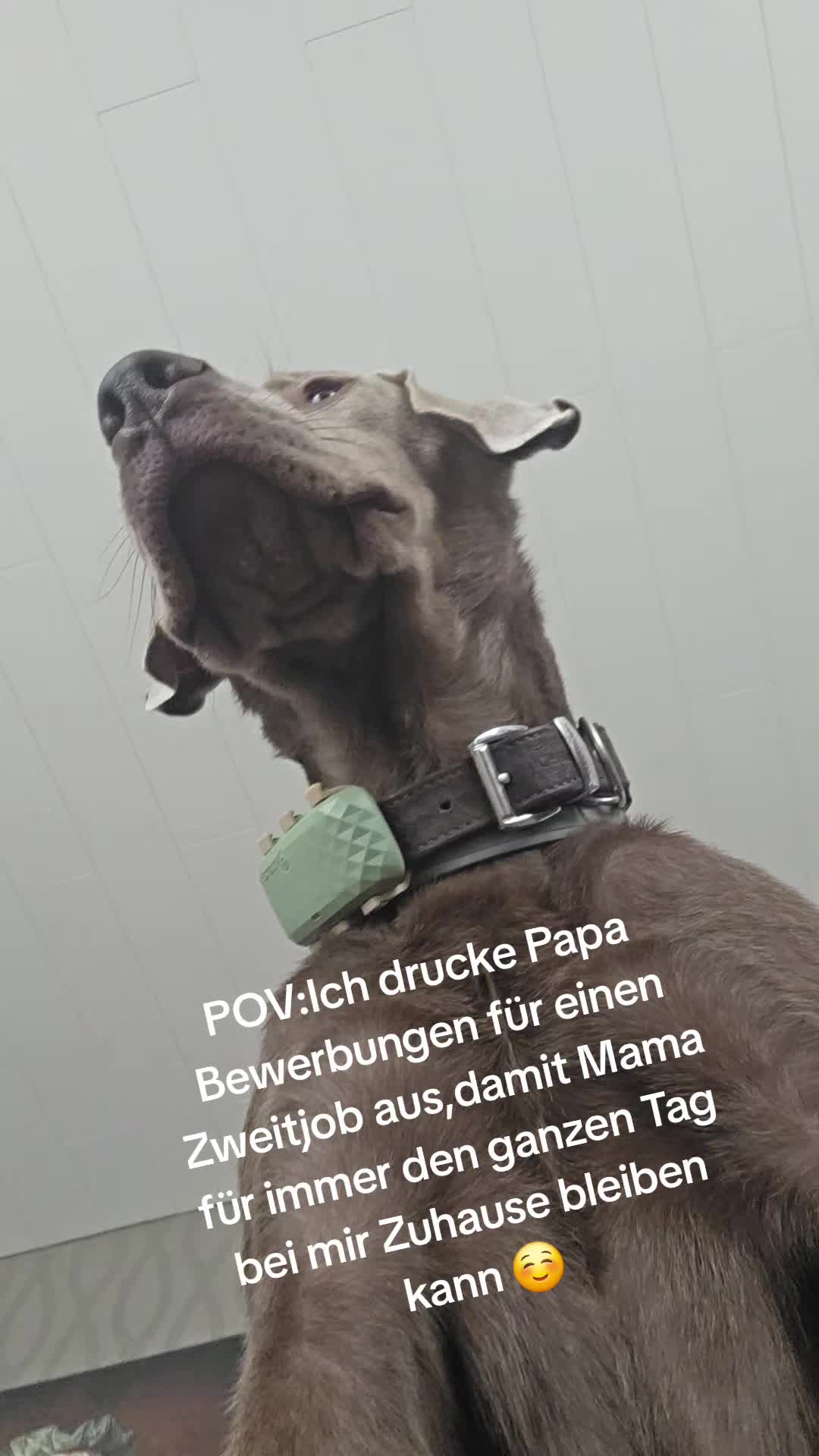 @Marry Specht