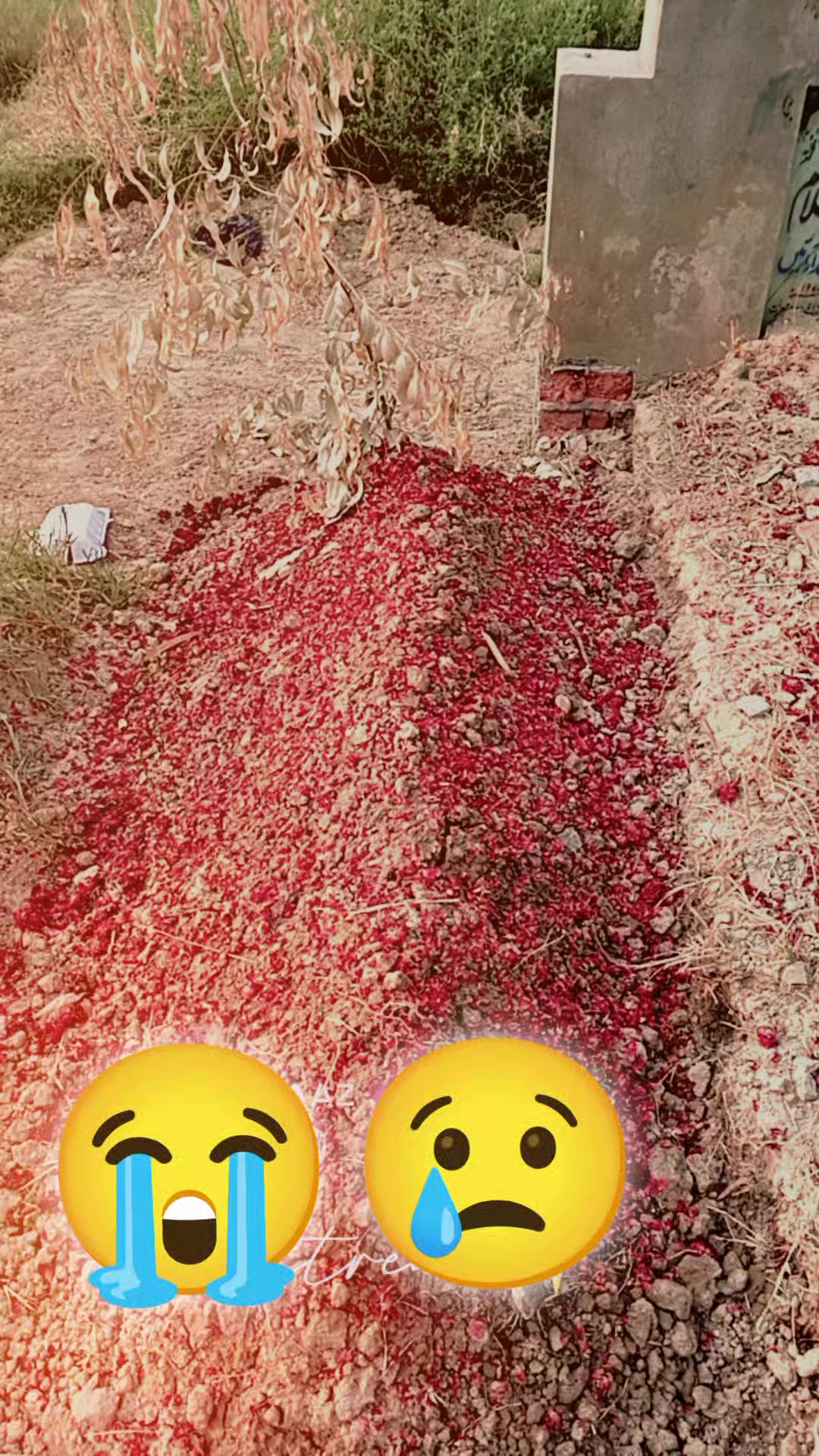 @MAAZMAHER 🦁