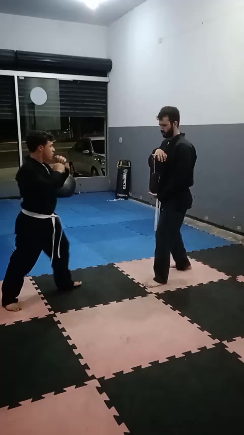 @gabriel_hapkido_mma