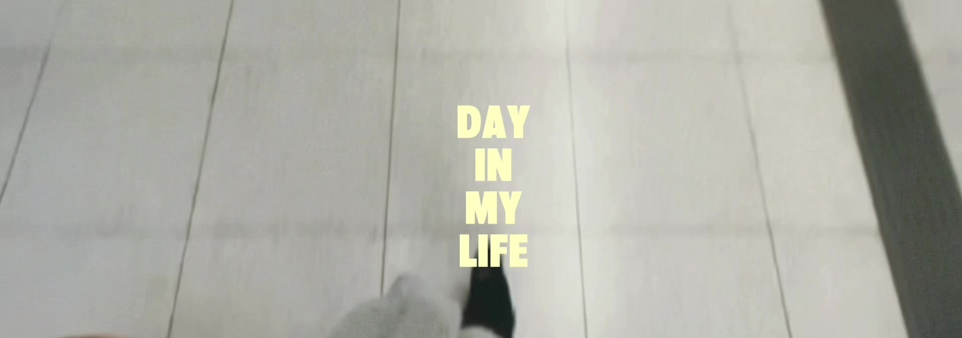 @jxlie_1800