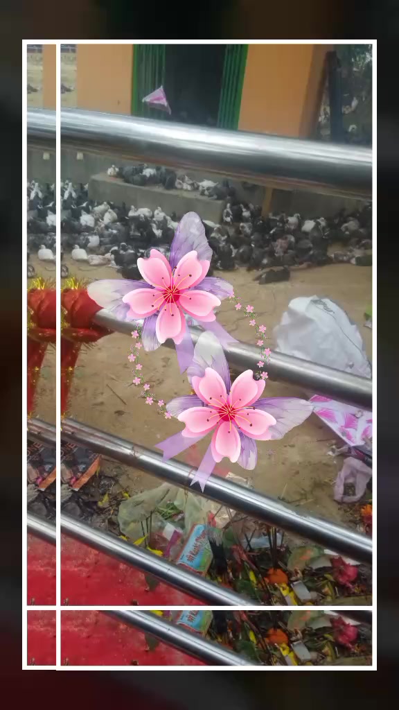 @/// PANCHDEV /// YADAV ///