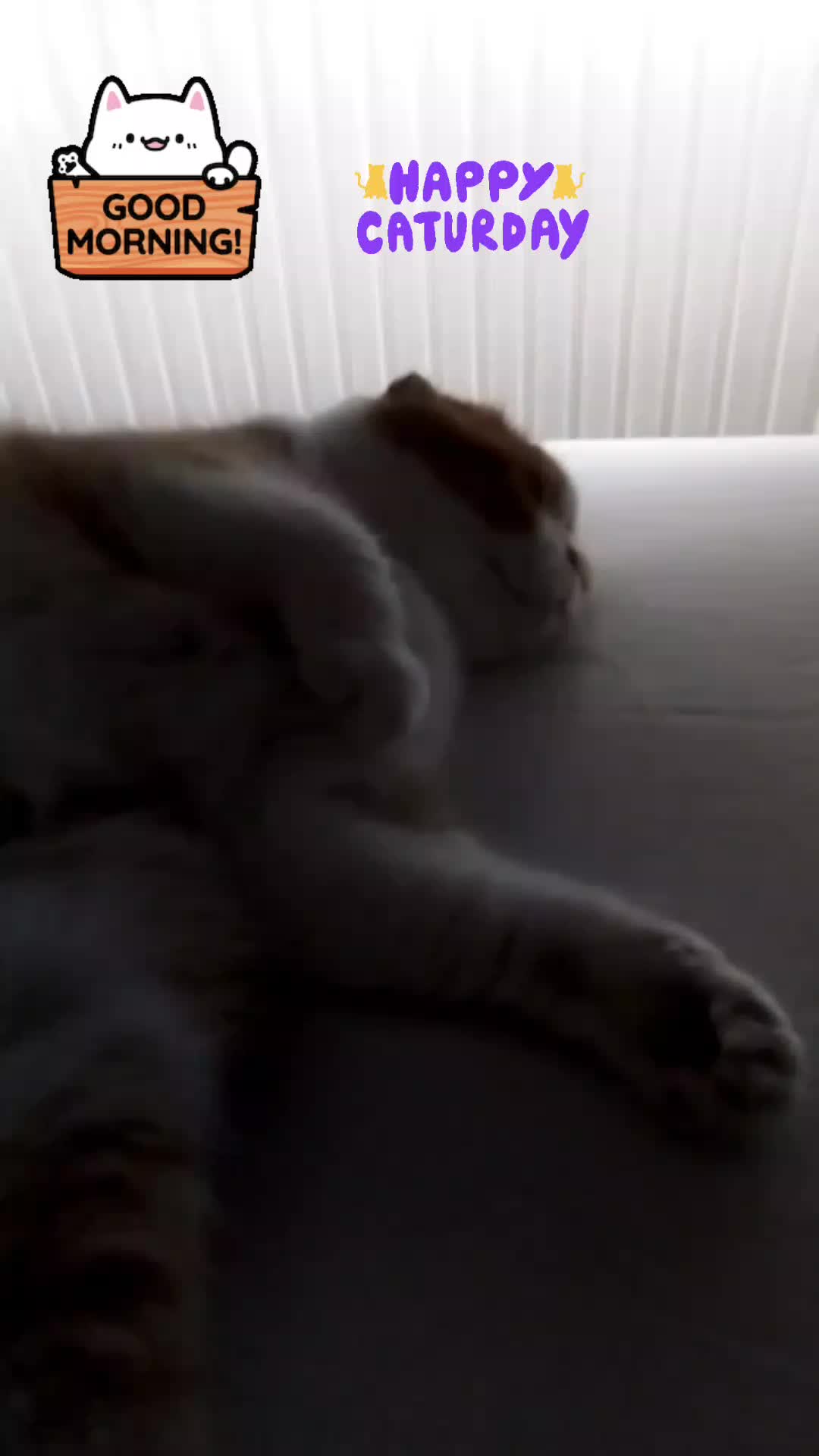 @Anneke & Simba