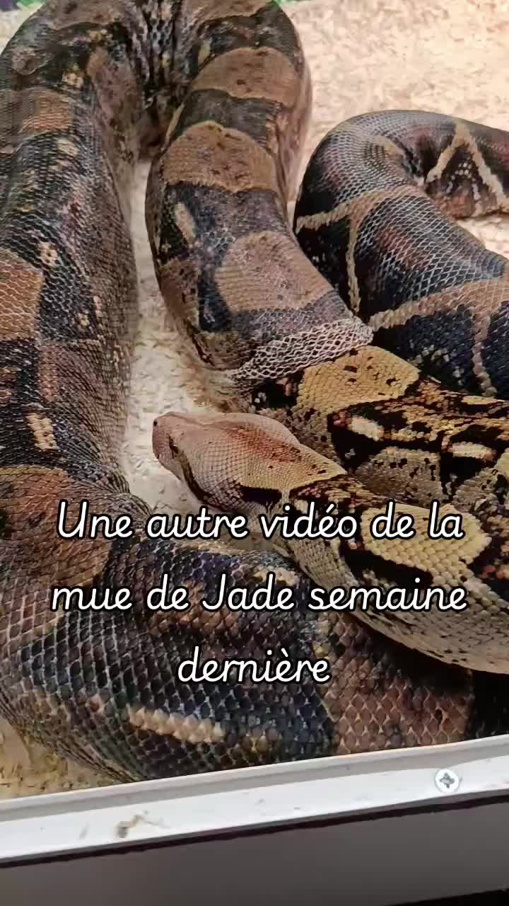 @ð·ððððð ððð ððððð