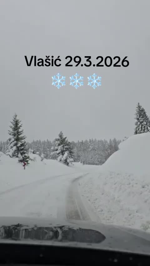@ćizaR senriM