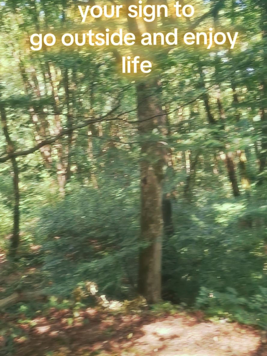 @☾⋆𝙻𝚞𝚌𝚒𝚏⋆☽