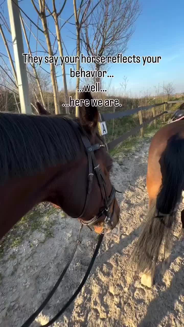 @ne.horses