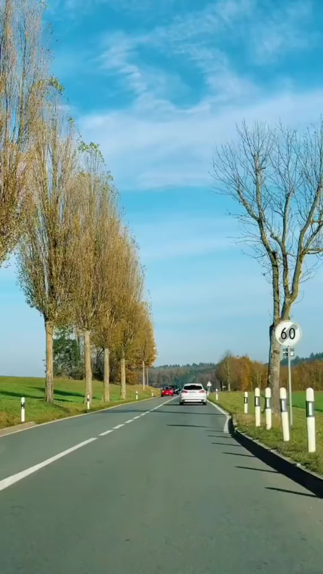 @Marina Nutescu
