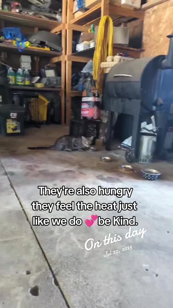 @Jessica🐾💞