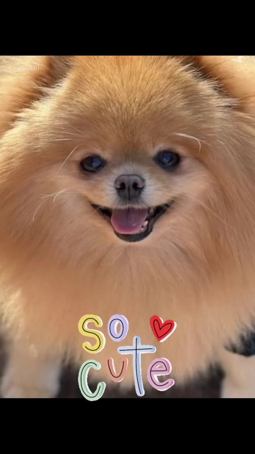 @Sami 🇮🇹🇧🇷
