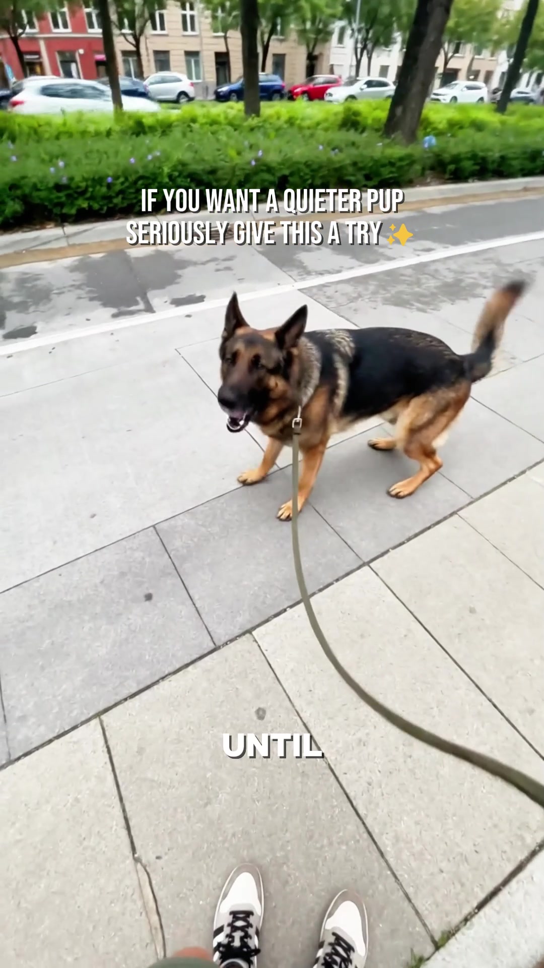 @pawpawchum
