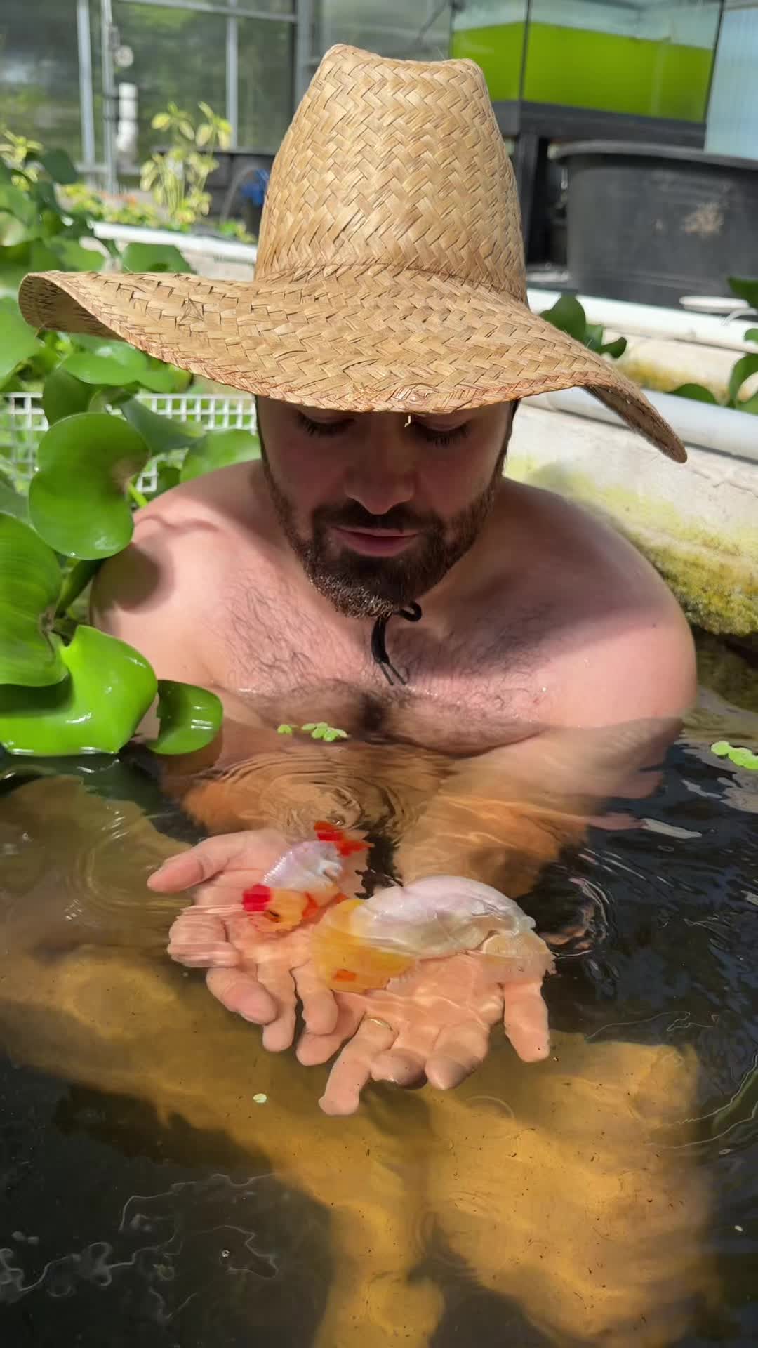 @The Goldfish Guy