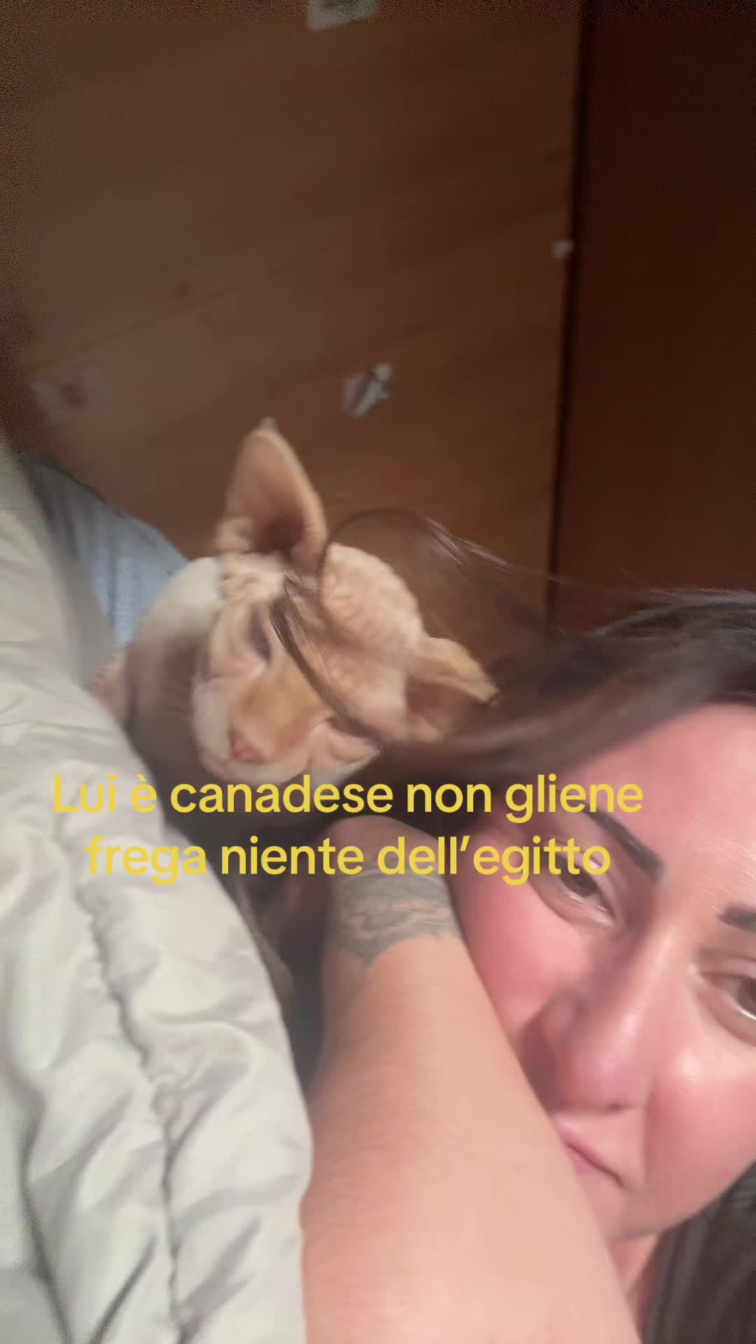 @Monica Avolio
