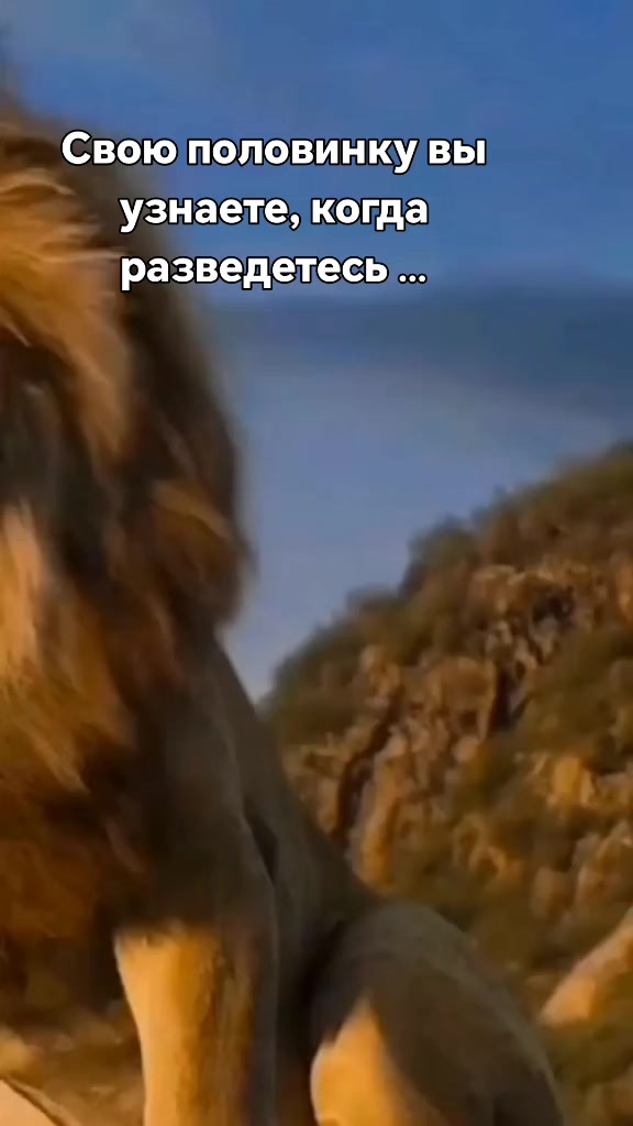 @💔Лилия💔🥀