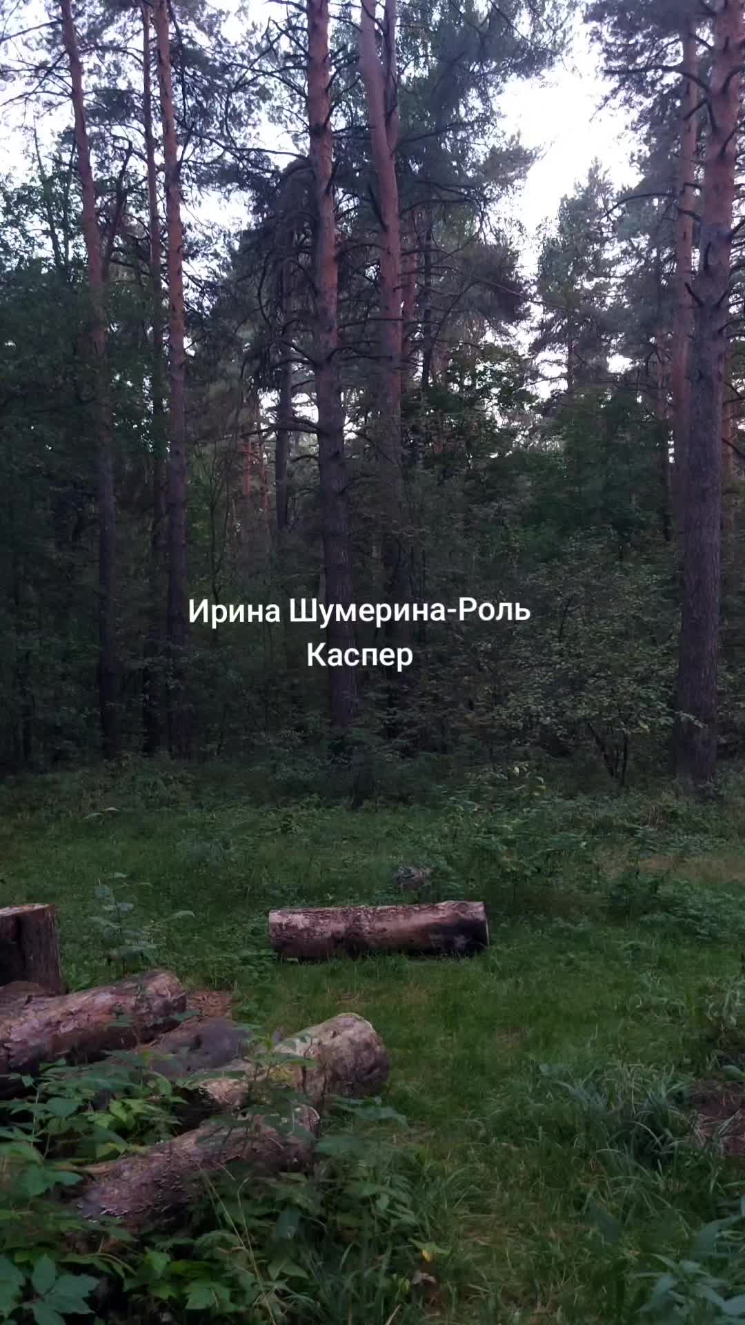 @IRINA SHUMERINA