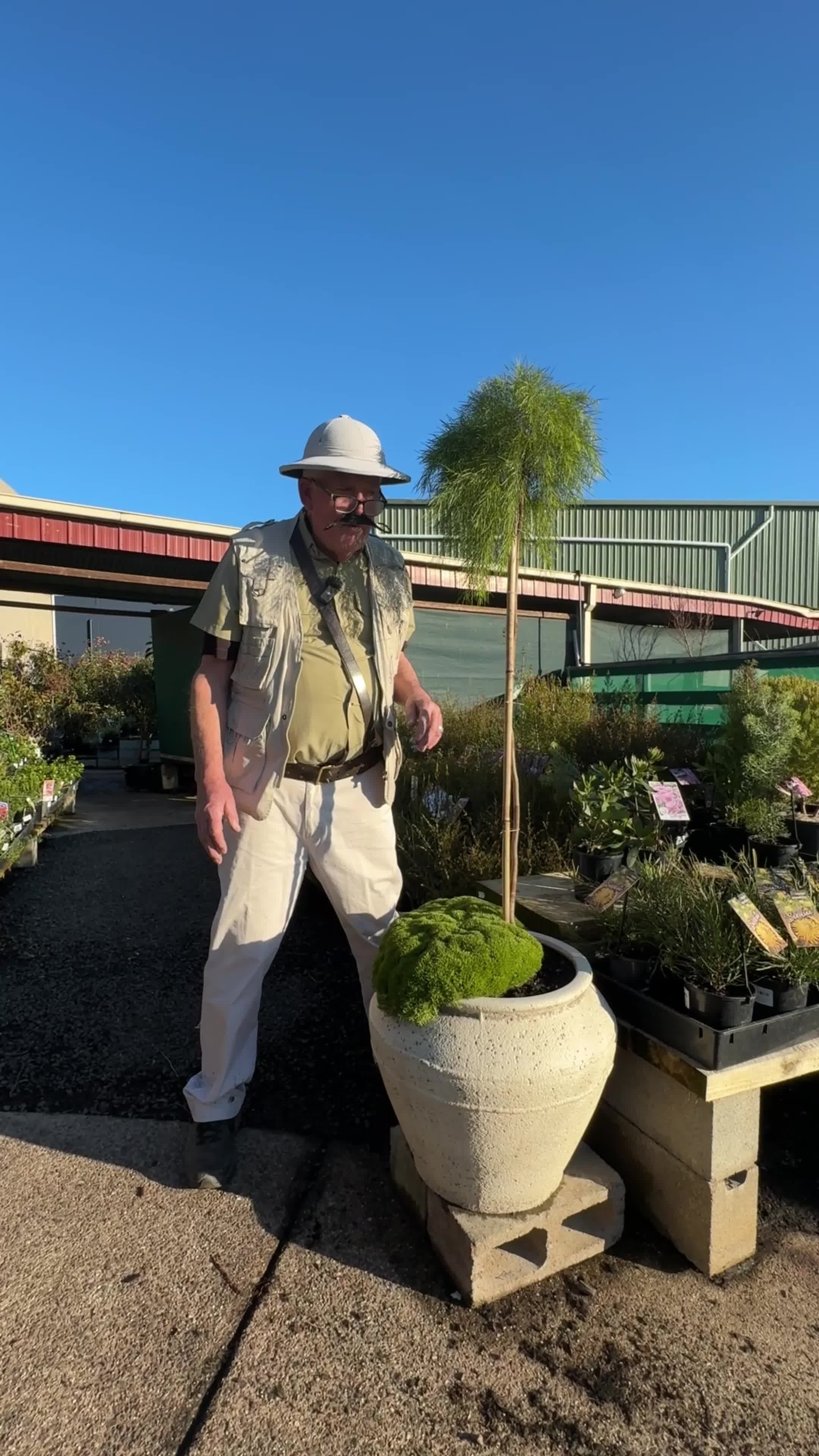 @Hello Hello Plants Nursery