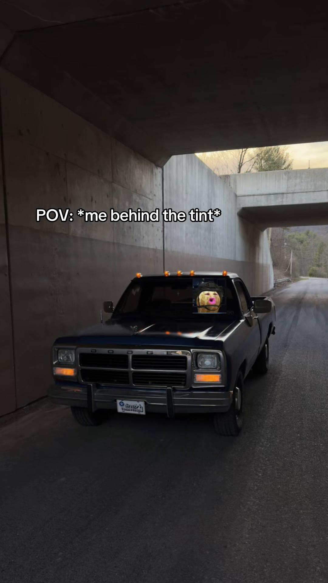 @Noah413