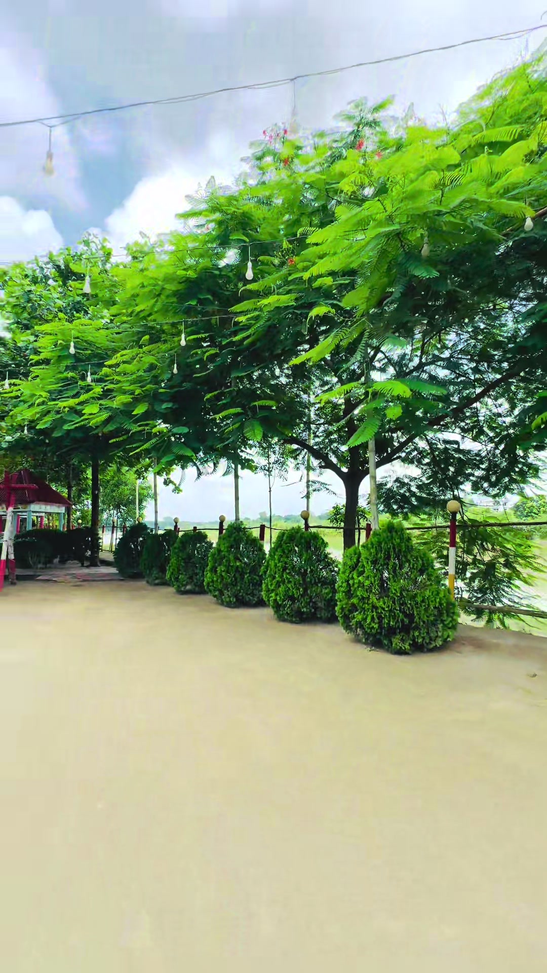 @🌼[ " CaFe শীতল হাওয়া " ]🌼