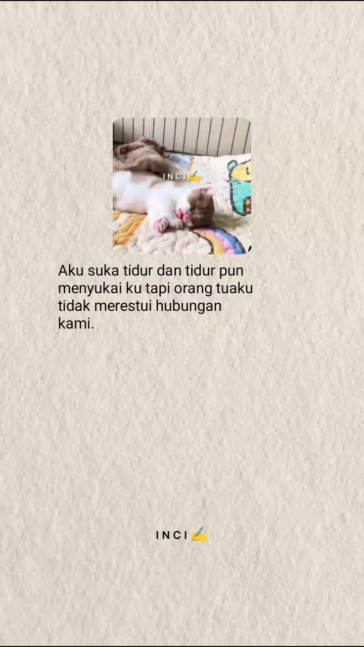 @I N C I ✍️