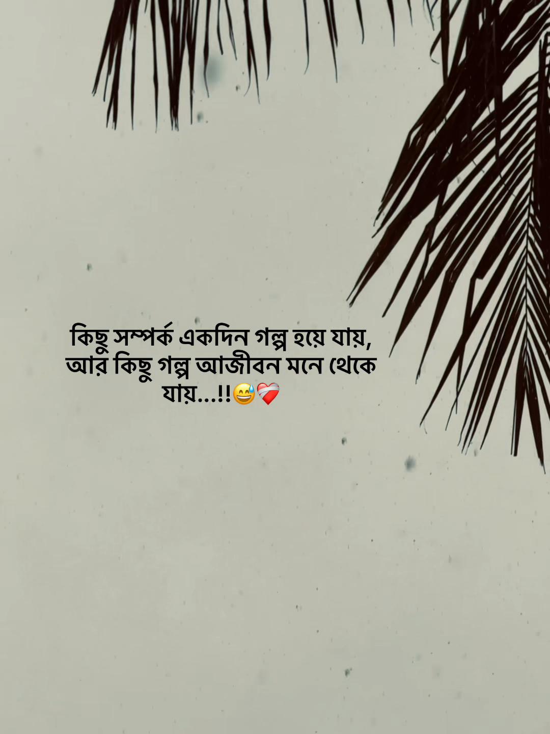 @Jahidul lslam 95