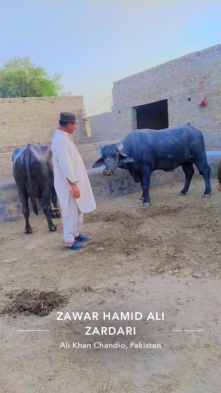 @sabir Hussain Zardari 110
