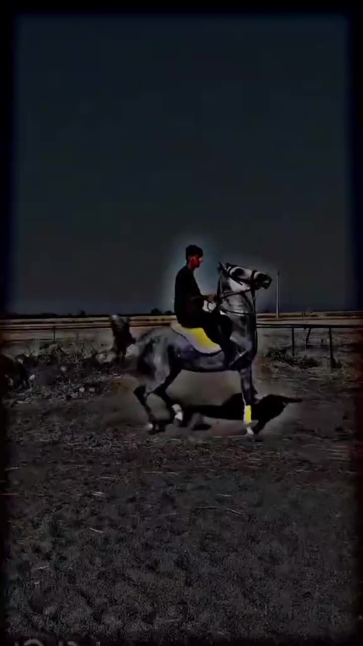 @⫸𝙈𝙞𝙍𝙯𝘼✫𝙎𝙖𝙍𝙆𝙖𝙍✫⫷