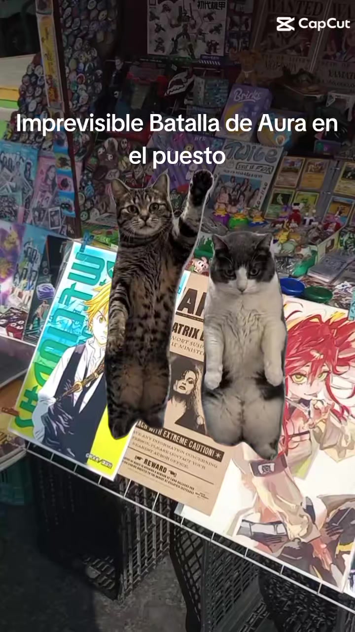 @Elyodaarana