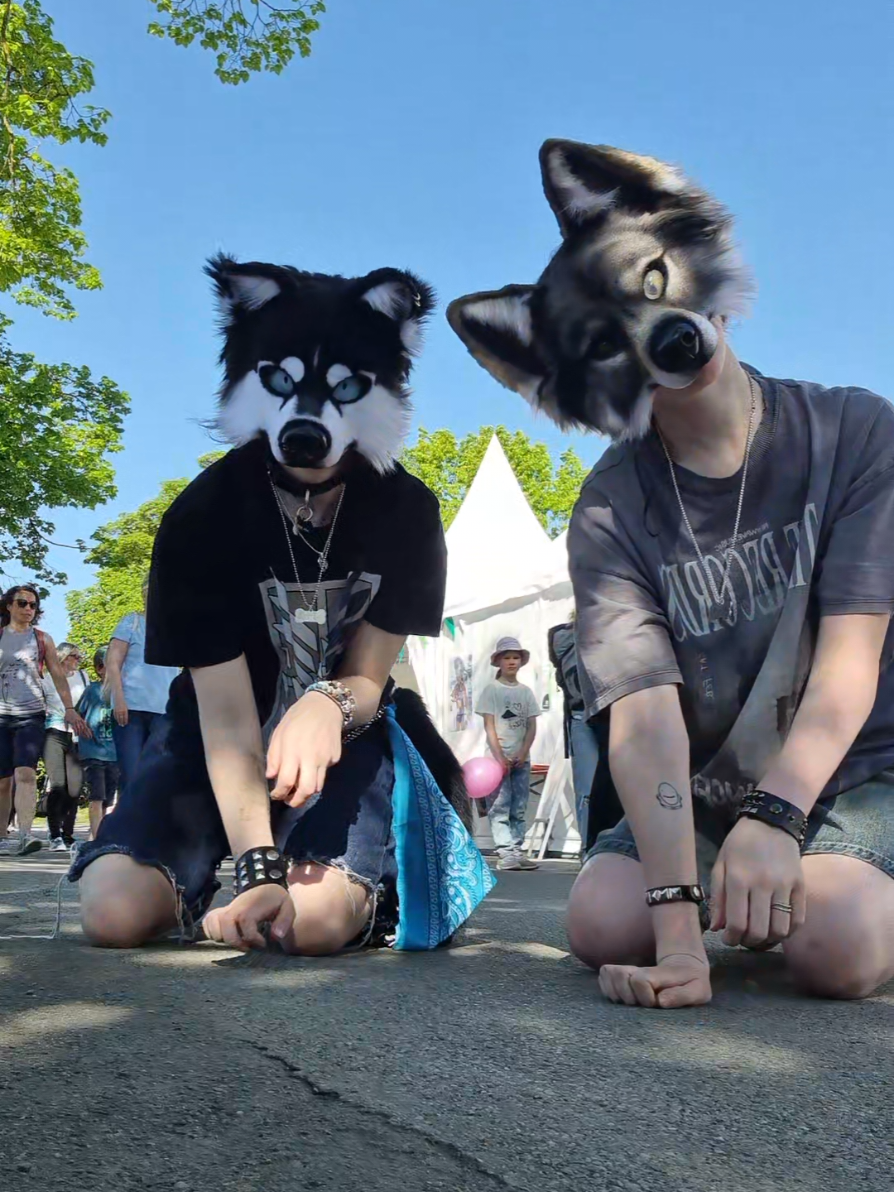 @☆sillydog☆