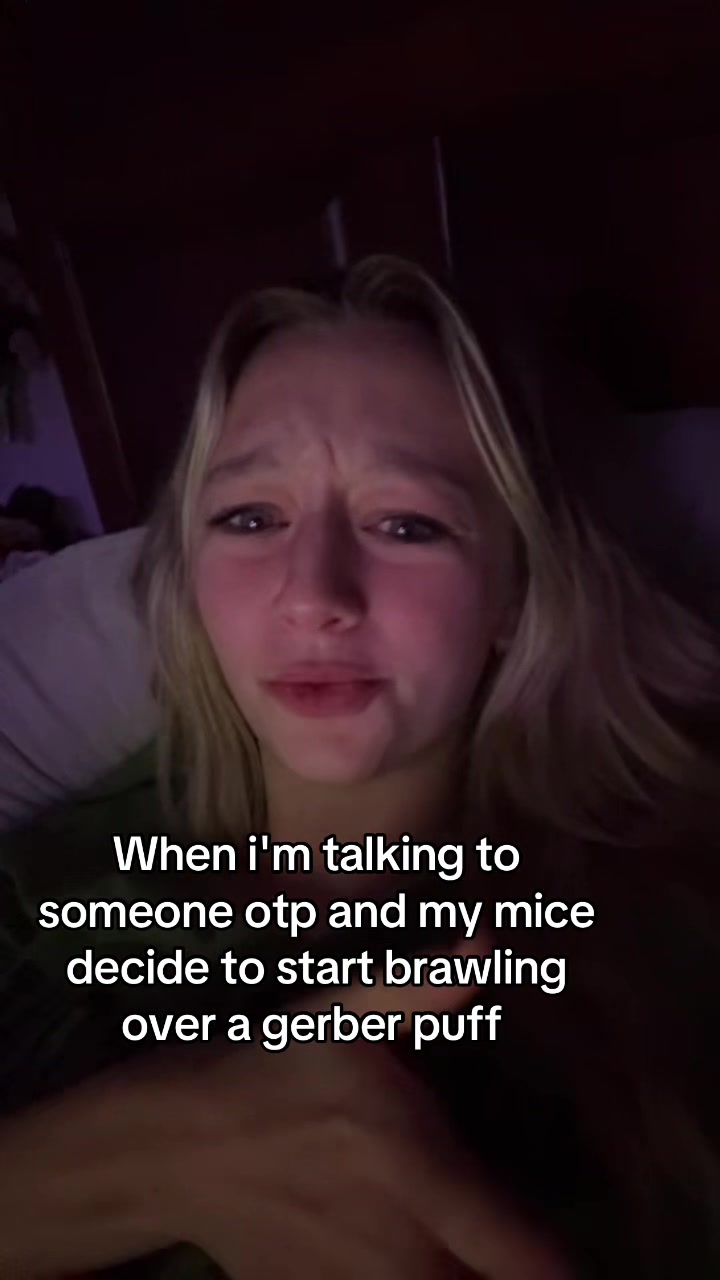 @thatweirdanimalgirl